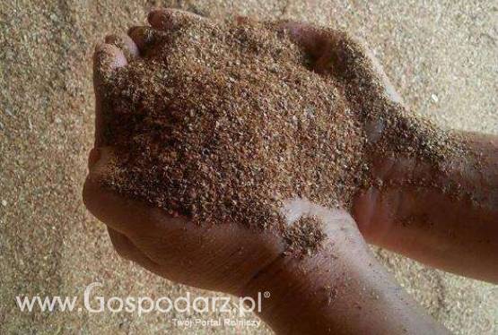 Sprzedam wywar gorzelniany suszony DDGS