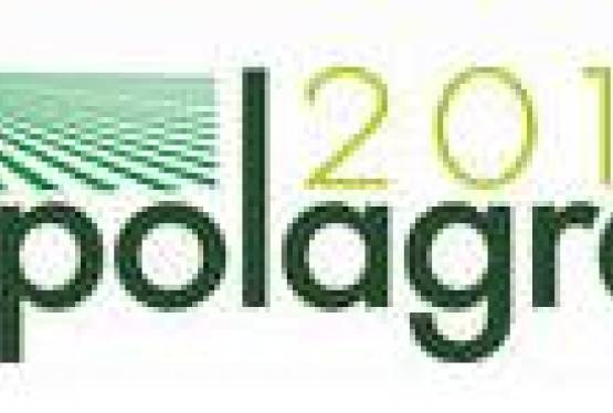 Opolagra w Kamieniu Śląskim