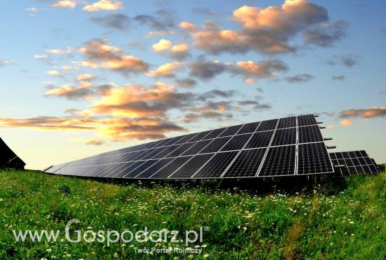 Wydzierżawię ziemię pod farmę fotowoltaiczną 10tys zł/1ha