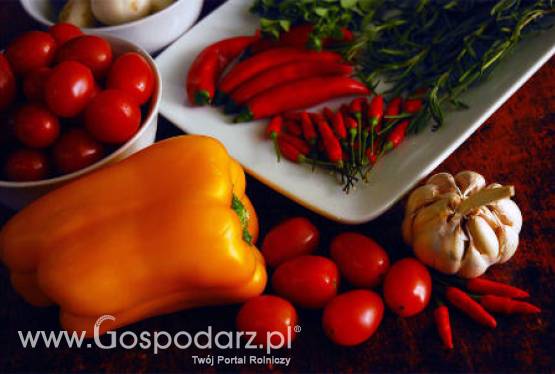 Tegoroczne zbiory warzyw będą wyższe