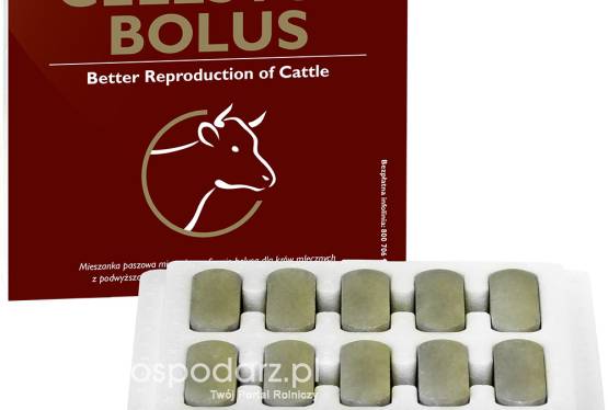 Preparat dla krów z podwyższoną zawartością komórek somatycznych w mleku - Cellstop bolus