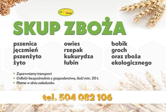 skup zboża: pszenicy, pszenżyta , owsa, jęczmienia, żyta