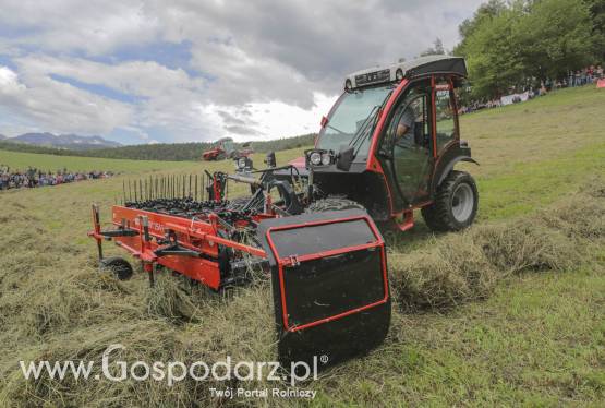 Przetrząsacz taśmowy SIP FAVORIT 234/234 F ALP