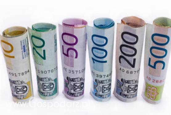 Blisko 6,3 miliarda złotych przekazała ARiMR rolnikom w ramach dopłat bezpośrednich za 2010 r.