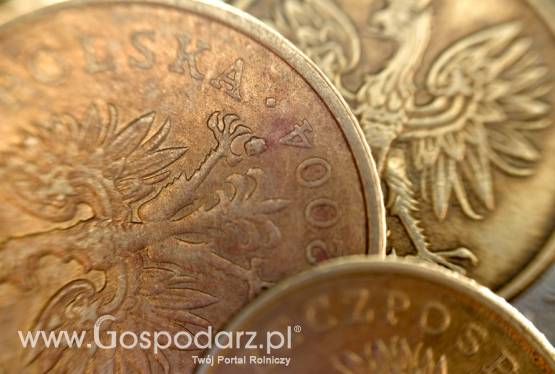 Lokalne Grupy Działania przyjmują wnioski o wsparcie inwestycji z PROW 2007-13. W Polsce działa 336 takich grup.