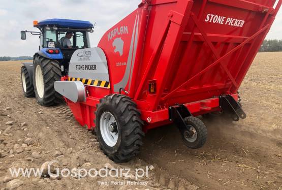 ZBIERACZ KAMIENI TUTKUN KAPLAN