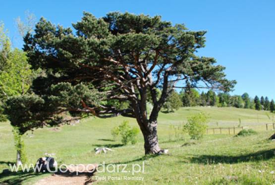 Rozporządzenie ws. szkoleń dla doradców