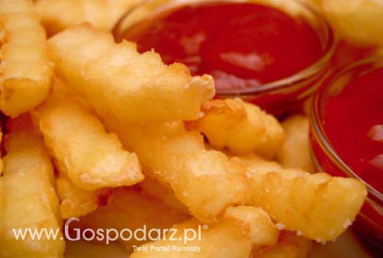 W zeszłym sezonie kraje Wspólnoty wyeksportowały 3,37 mln ton frytek