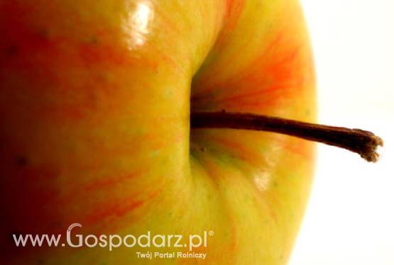 Zwiększy się produkcja polskich przetworów owocowych oraz soków