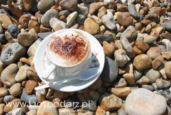 MOKATE z Lavazzą: Gra o udziały w rynku i setki milionów złotych