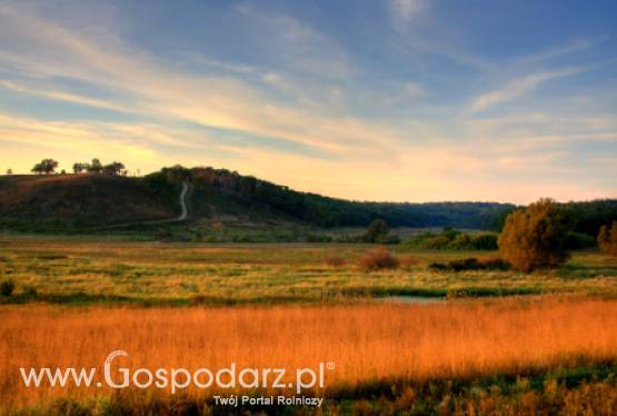 Rosja – Eksport zbóż wyniesie 15 mln ton