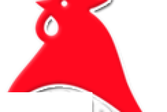 Mieszanka paszowa dla trzody chlewnej