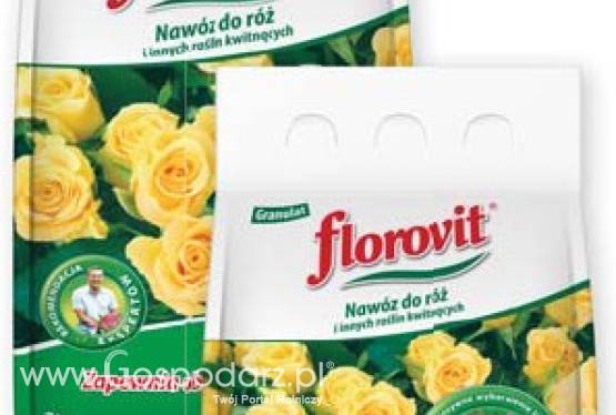 Nawozy i preparaty do roślin kwitnących