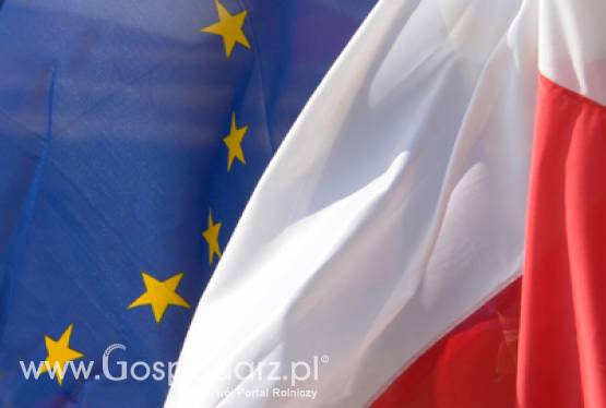 Pierwsze tygodnie prezydencji już za nami