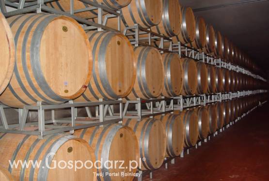 Informacja dla producentów i przedsiębiorców wyrabiających wino z winogron pochodzących z upraw winorośli położonych na terytorium Polski