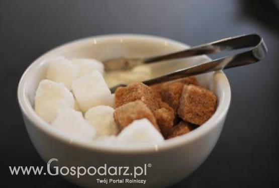 Indie – Będzie zwiększony wolumen eksportowy cukru?