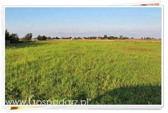 Działka rolno-budowlana 1,5 ha okolice Lublina