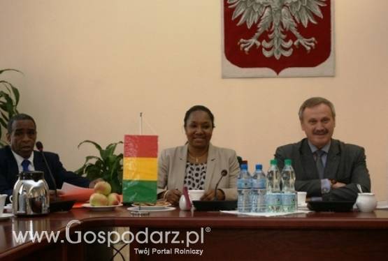 O perspektywach rozwoju współpracy między Polska a Gwineą