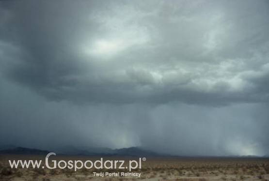 Pogoda na czwartek 25.08.2011