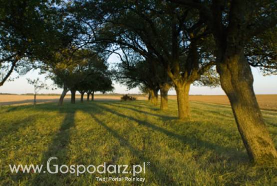 Bezpieczeństwo żywności ważnym tematem Partnerstwa Wschodniego