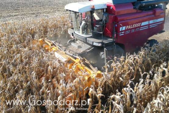 Gomselmash Palesse GS 12 A1