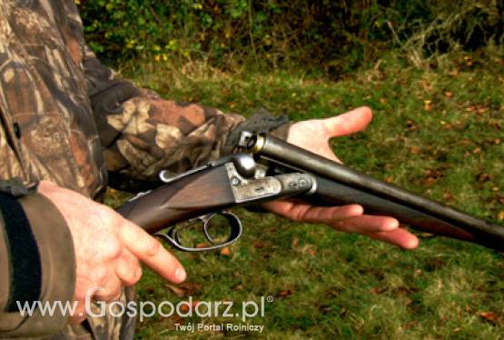 Szkody łowieckie w gminie Szamotuły