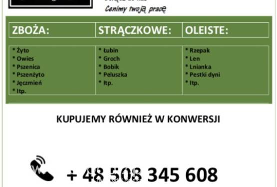 SKUP ZBÓŻ EKOLOGICZNYCH