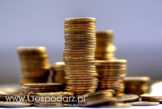 Polska wieś jest coraz bogatsza i korzystnie się zmienia. W dużym stopniu dzięki pieniądzom wypłacanym przez ARiMR