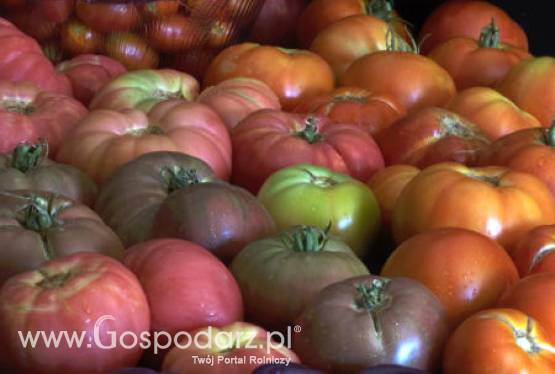 Portugalskie Azory – Strefa wolna od GMO