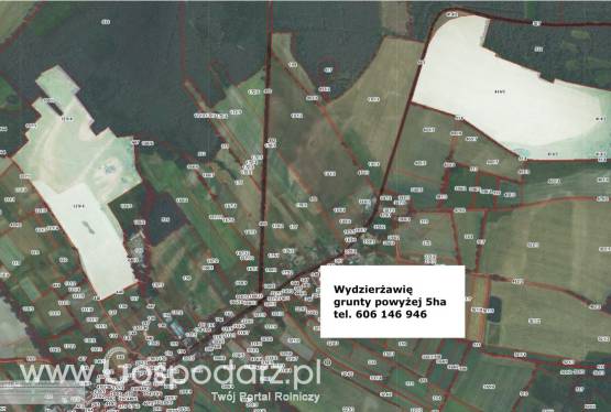 Bezpośrednio, poszukuję na terenie południwo-zachodniej  Polski gruntów do wydzierżawienia  pod budowę farmę fotowoltaiczną