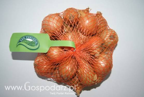Cebula worek raszel 15 kg!!