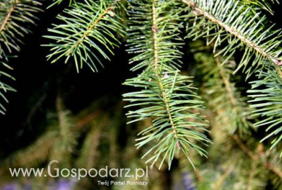 Wielka Brytania – Zamiast na śmietnik - na brzeg rzeki