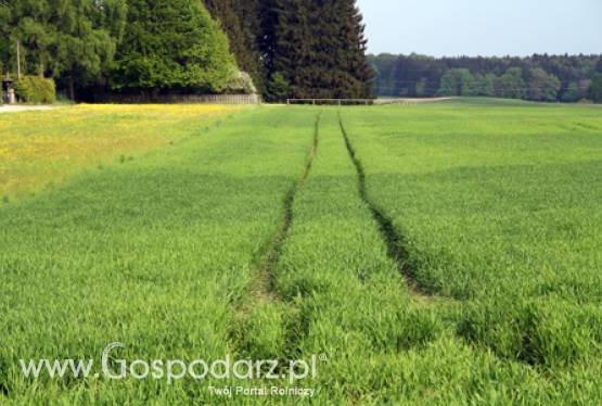 Lubuska Izba Rolnicza w Radzie Terenowej przy ANR