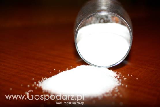 Spotkanie z Ambasadorem Republiki Czeskiej