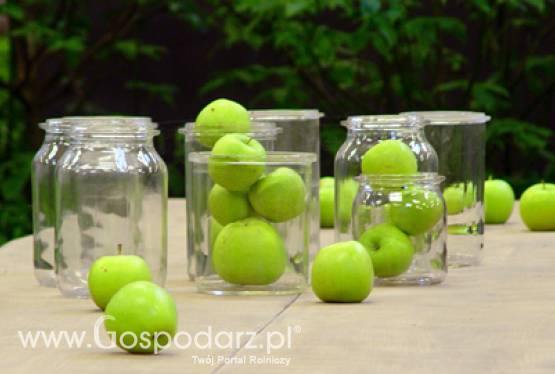 Zmiana Warunków uczestnictwa w programie „Owoce w szkole” w II semestrze roku szkolnego 2011/2012