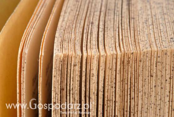 Dobre wiadomości dla mikroprzedsiębiorców. Można dokonywać zmian w złożonych wnioskach i podpisanych umowach o przyznanie pomocy.