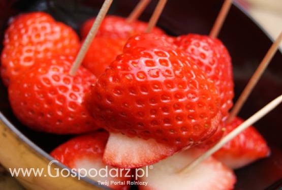 Certyfikacja owoców i warzyw na eksport do Federacji Rosyjskiej