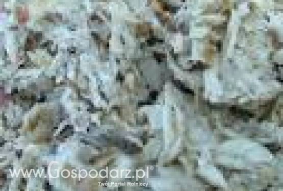 Wysłodki buraczane mokre cukrownia Krasnystaw kampania 2014