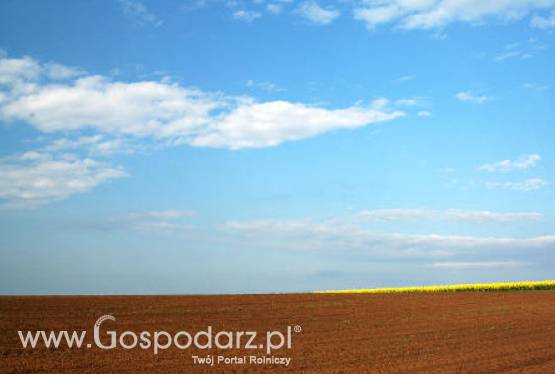 Czy Polsce zagraża spadek żyzności gleb?