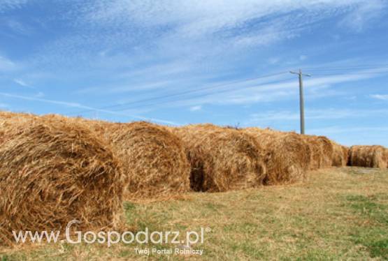 Nieformalne spotkanie dyrektorów ds. rozwoju obszarów wiejskich