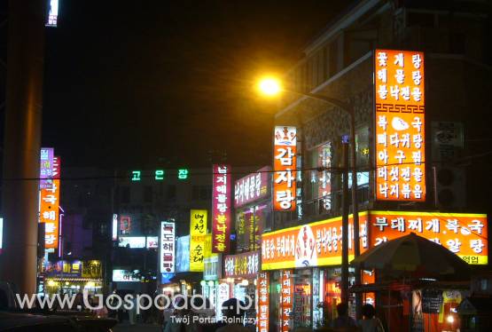 Korea Południowa – Wzrasta liczba zachorowań na pryszczycę