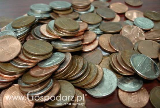 Lokalne Grupy Działania przyjmują wnioski o wsparcie inwestycji z PROW 2007-13. W Polsce działa 336 takich grup.