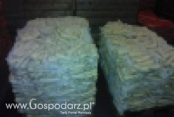 Pietruszka worek raszel 5 kg