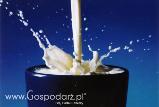 Coraz wyższe ceny mleka w punktach skupu