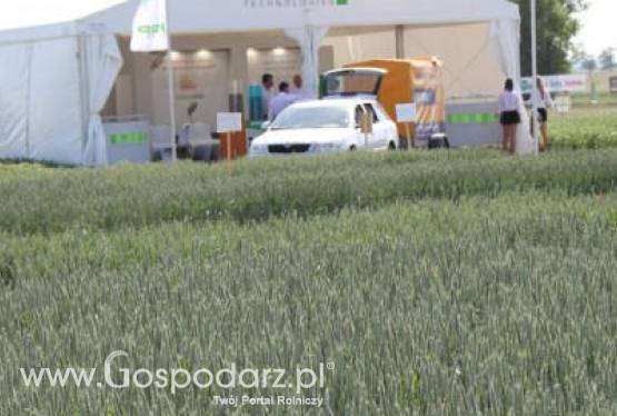 Notowania zbóż na giełdach światowych 29.05.2012