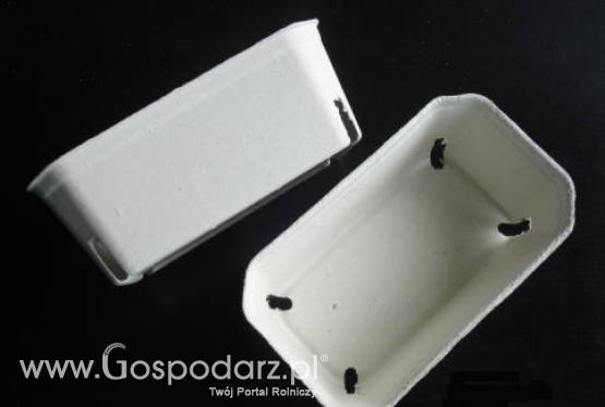 Opakowania do malin 500g