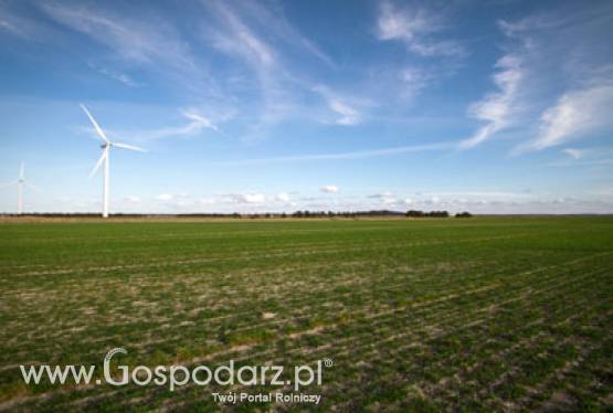 Podsumowanie Konkursu AGROLIGA 2010