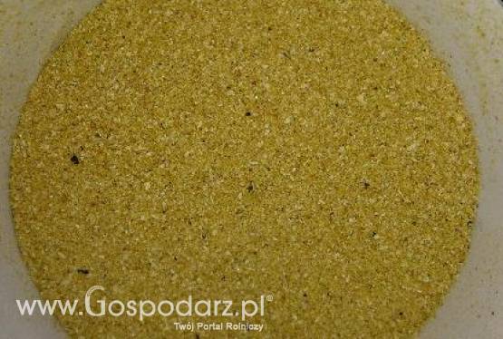 Białoruska karma dla zwierząt