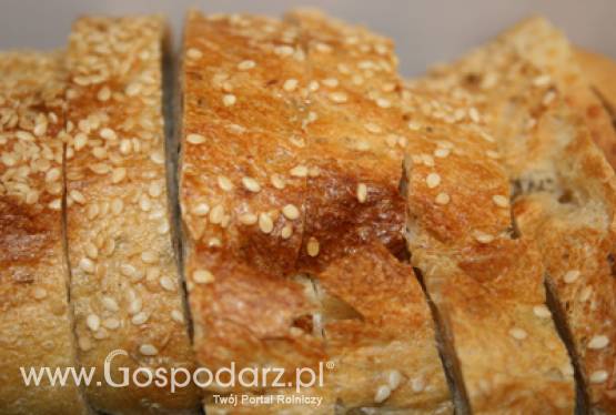 Podlaskie Święto Chleba