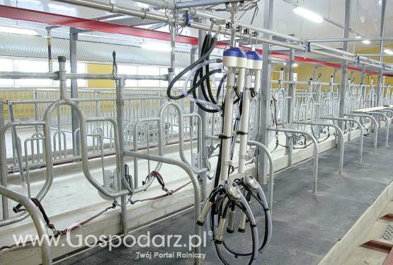 Wygrodzenia z rurą karkową